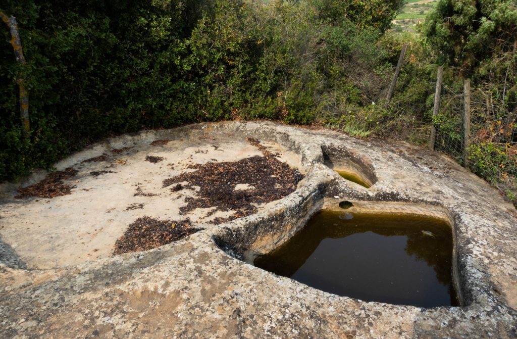 Lagar Rupestre Las Abejas Abalos