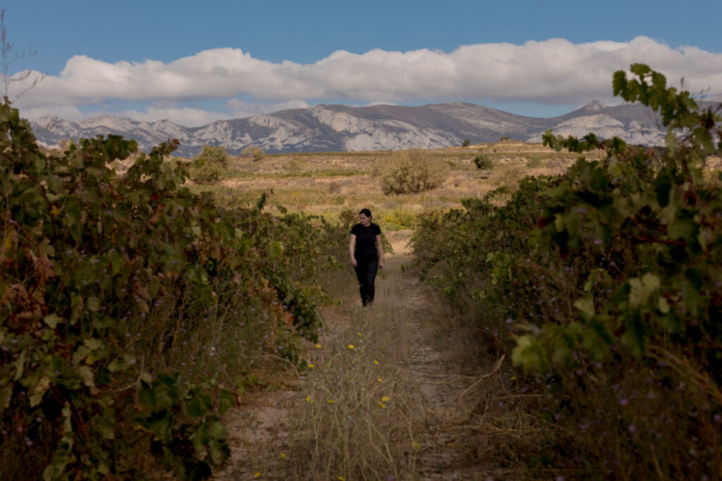Bodega Lapuebla de Labarca