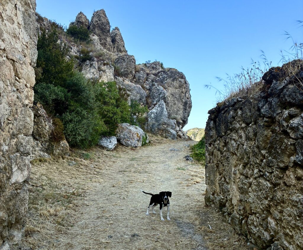 Rutas con perro en La Rioja