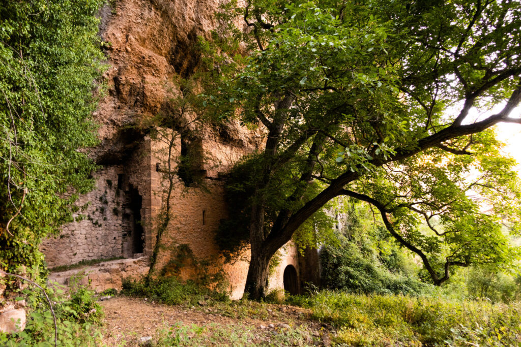 Castañares de las Cuevas