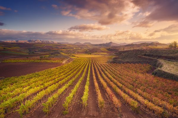 What to see in La Rioja What to see in La Rioja