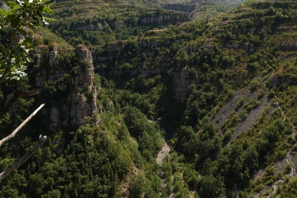 Canyon of the Leza River