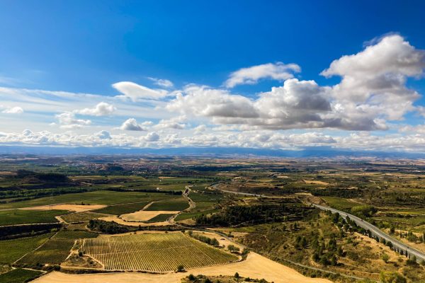 IMG_1938-2 San Felices