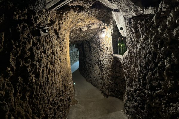 Bodegas Iradier