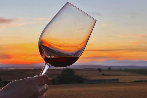 Weingut in der Nähe von Santo Domingo